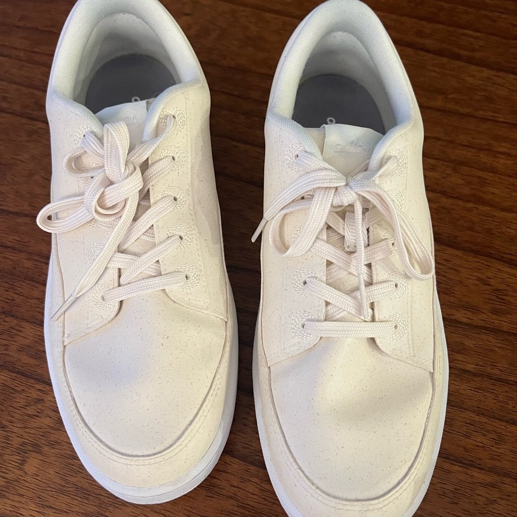 Allbirds Plant Pacers In Natural White